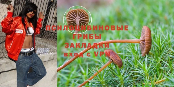 молекула духа Алексин