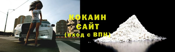 молекула духа Алексин