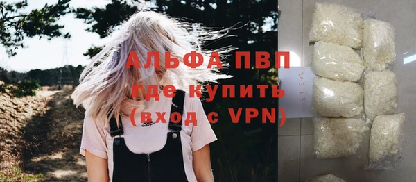 крисы Алзамай